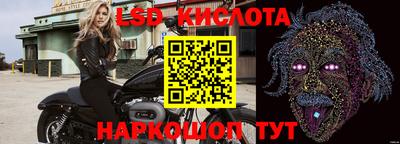 спиды Краснознаменск