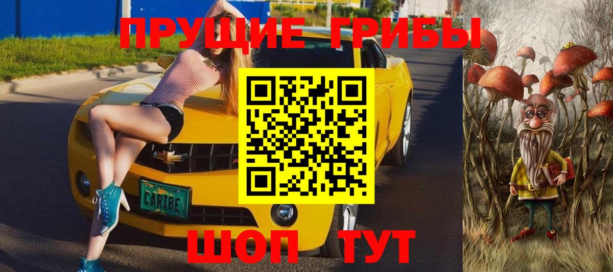 Кострома  Галлюциногенные грибы Cubensis  Вход с VPN 