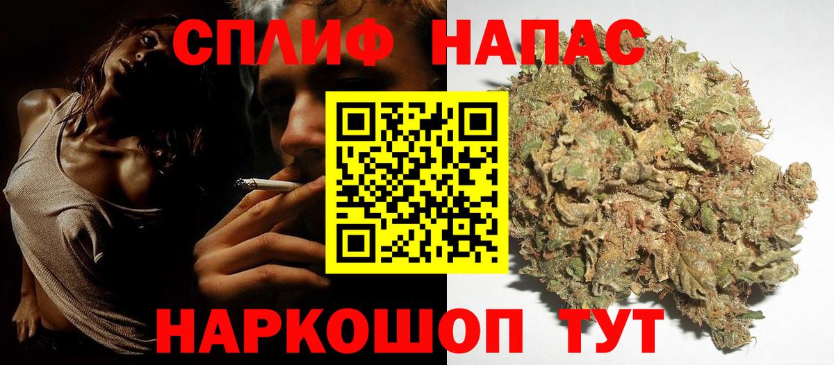 Кострома  Бошки Шишки MAZAR  Вход с VPN  Бошки Шишки семена 